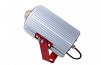 Elcondor Light 